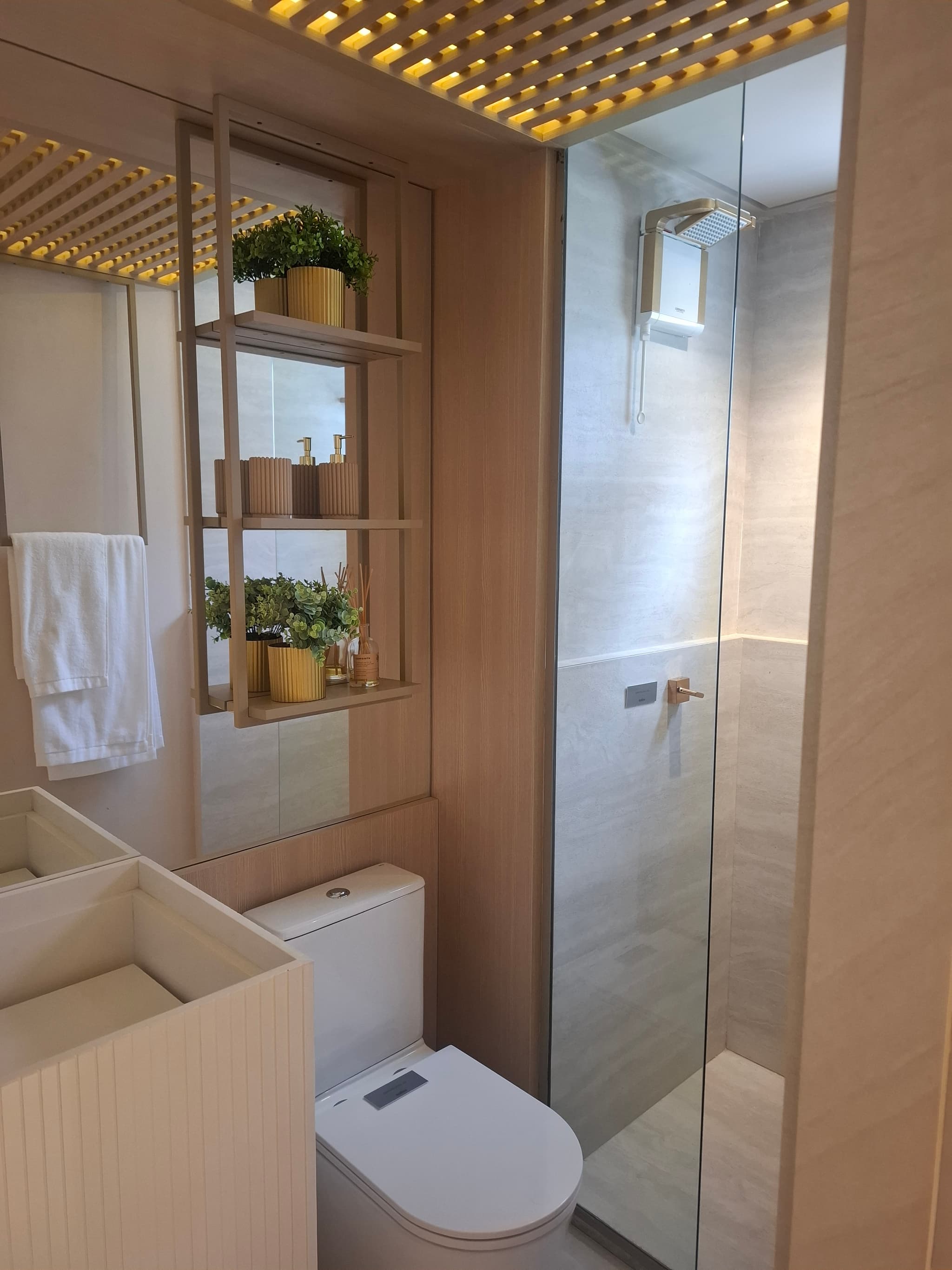 Arvo Teixeira da Silva — foto 8