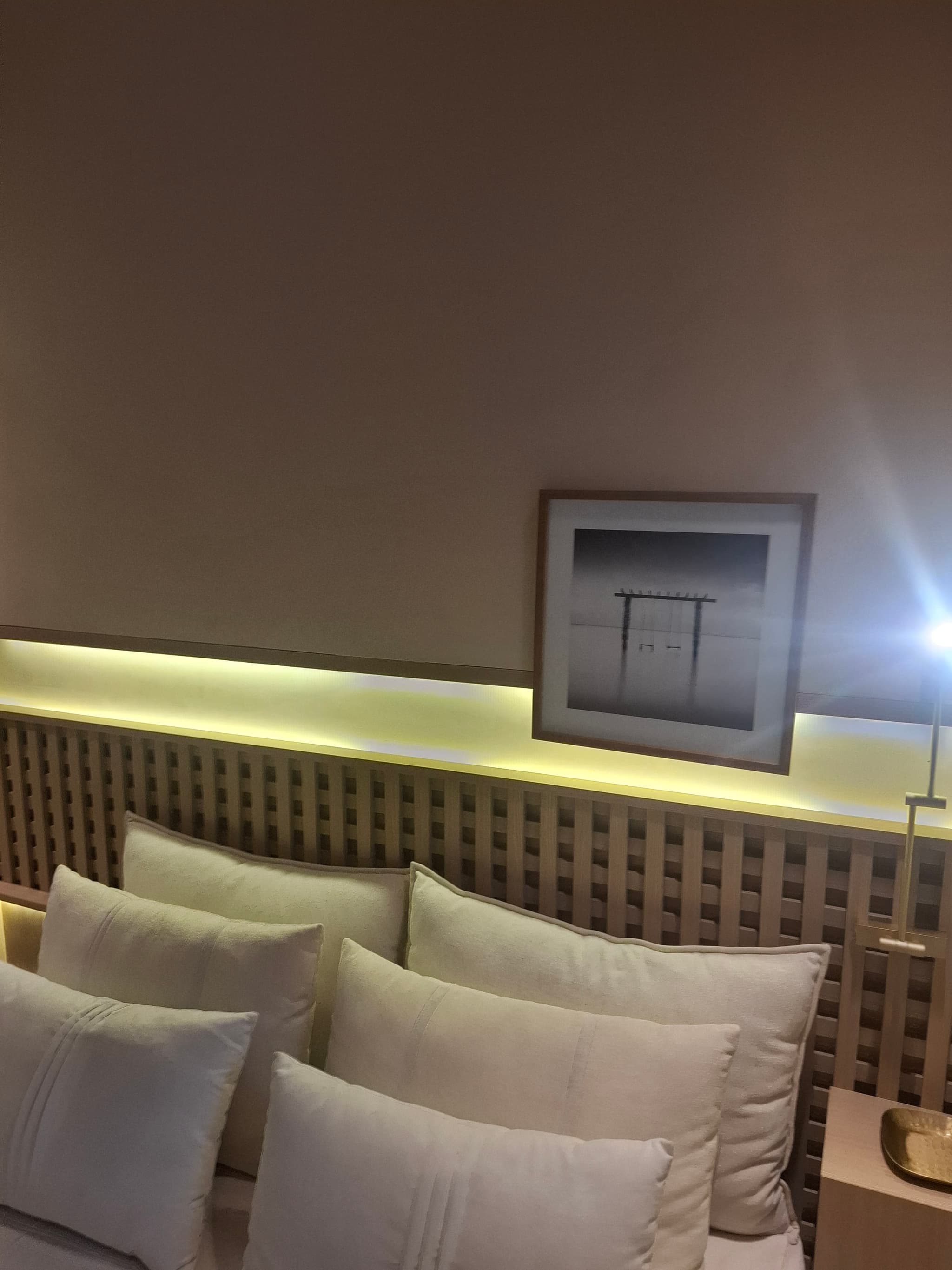 Arvo Teixeira da Silva — foto 7