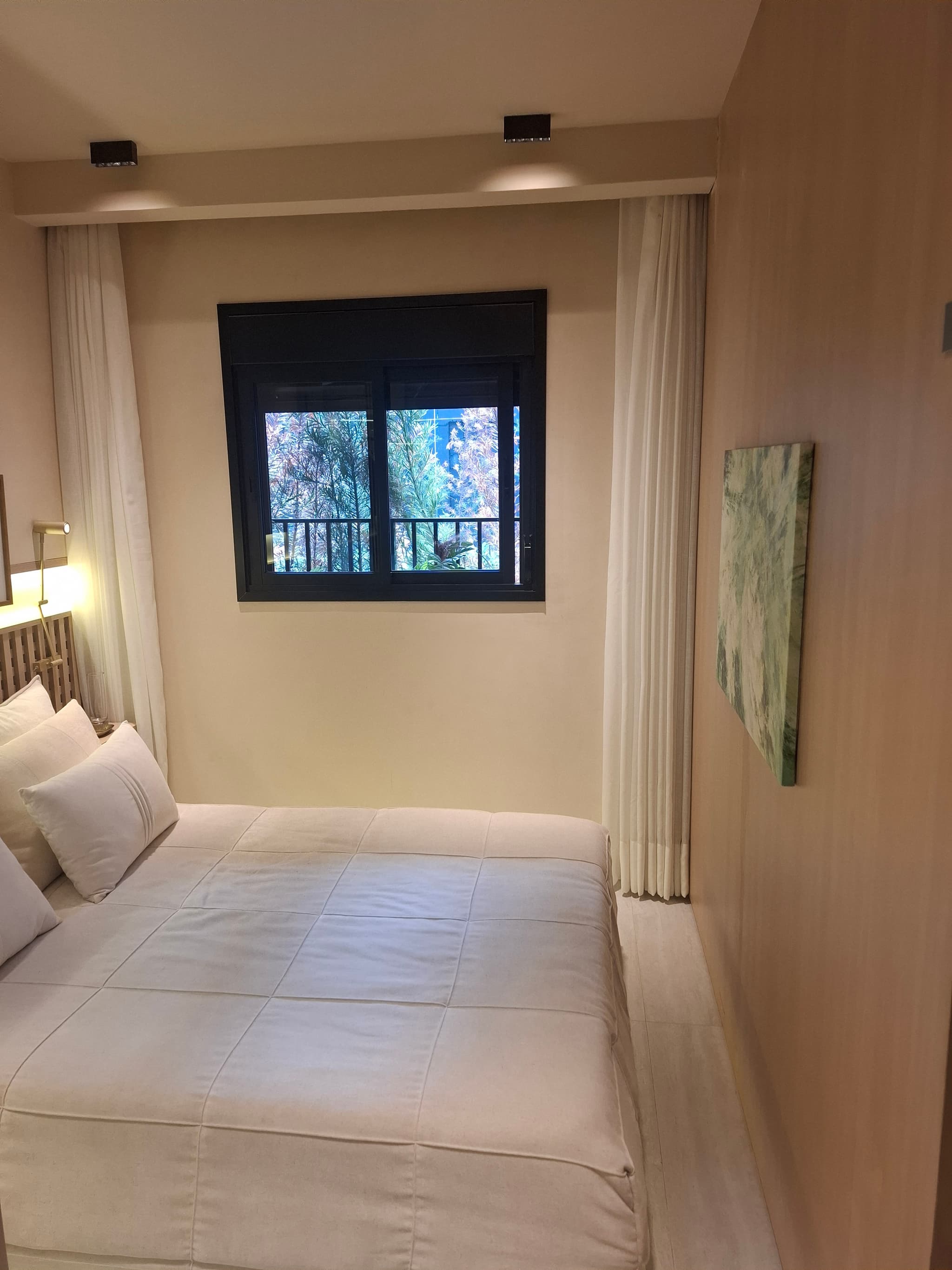 Arvo Teixeira da Silva — foto 5