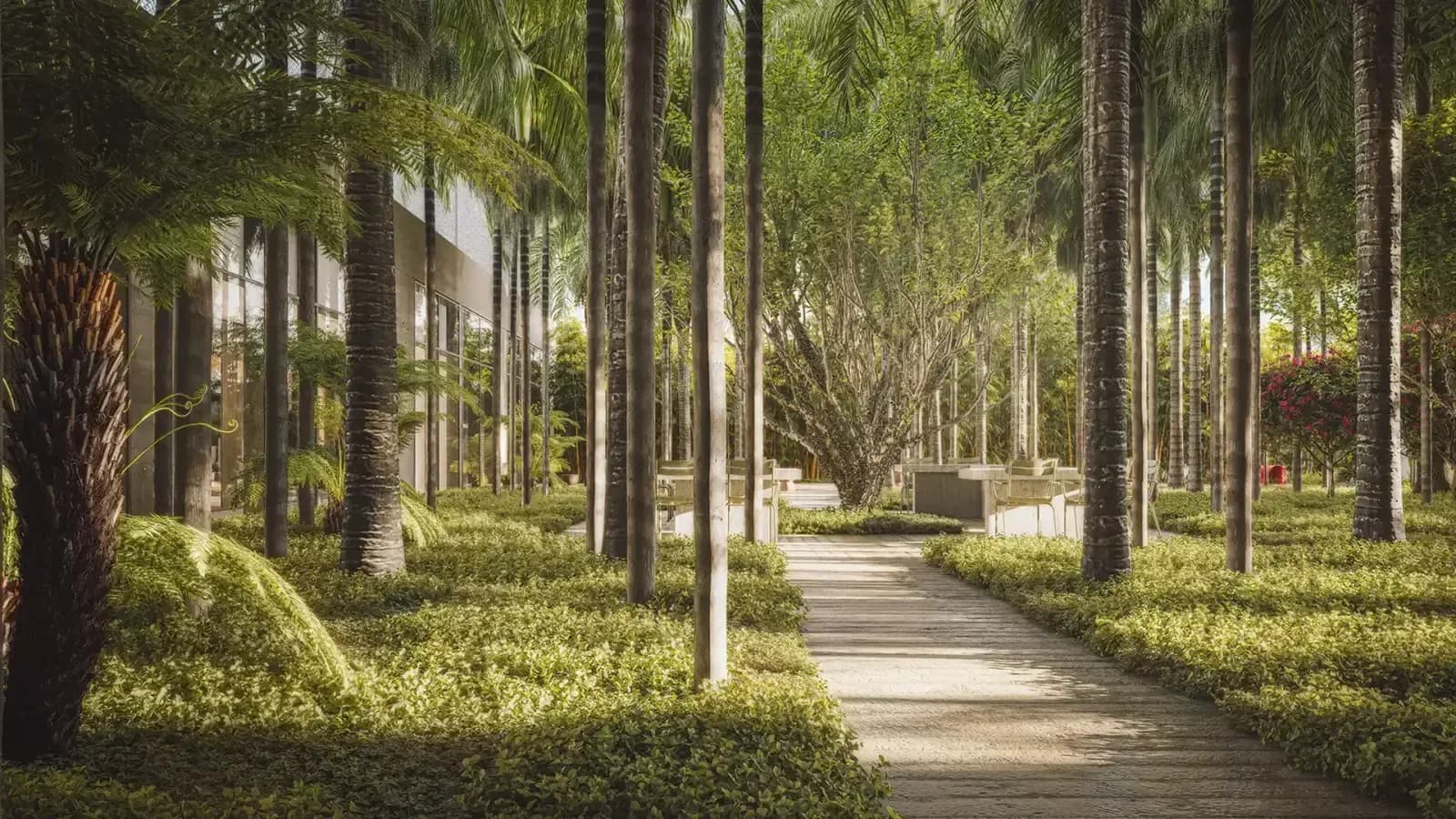 MAAM MÁRIO AMARAL — foto 3