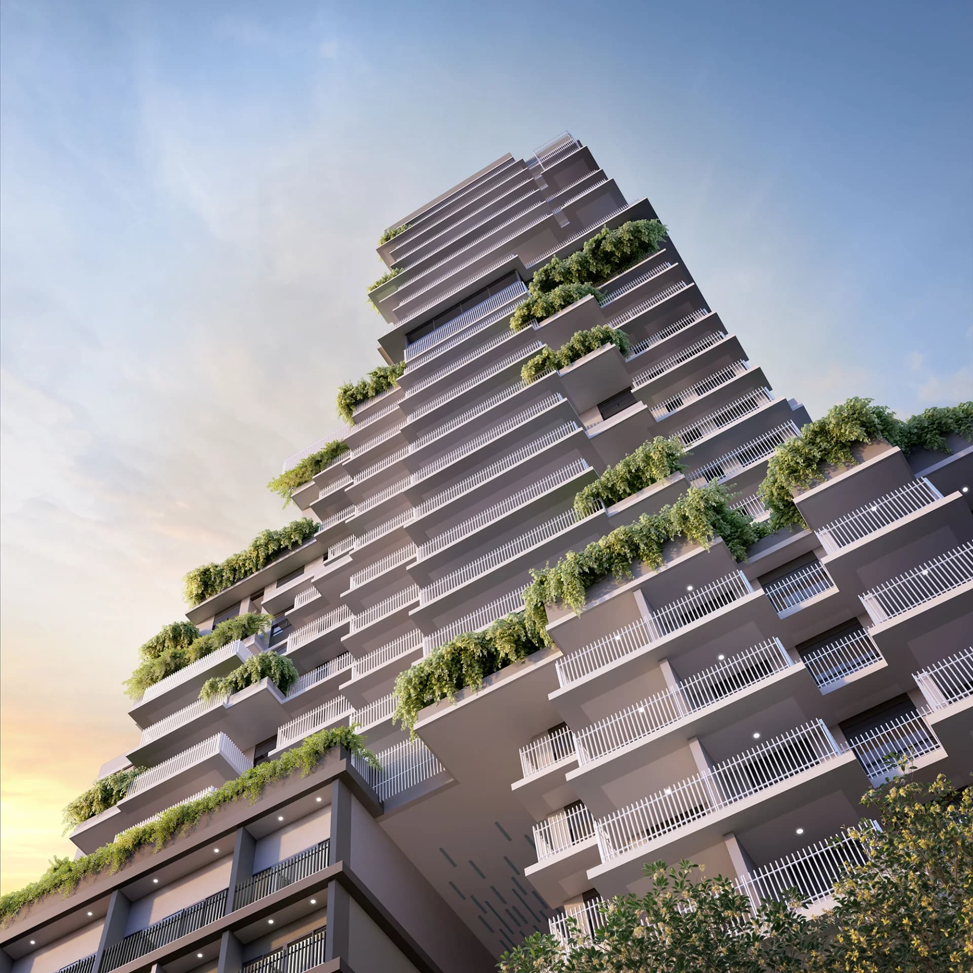 Vogel Moema — foto 2