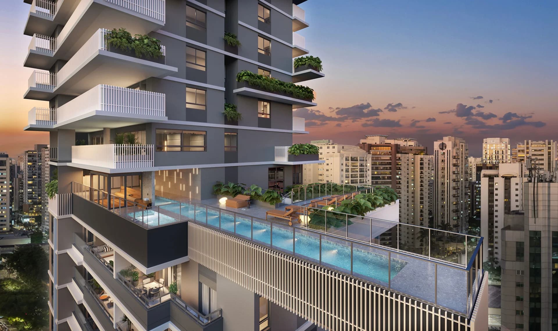 Vogel Moema — foto 3