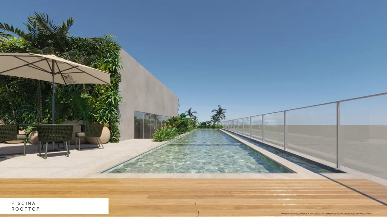 PINTASSILGO — foto 4