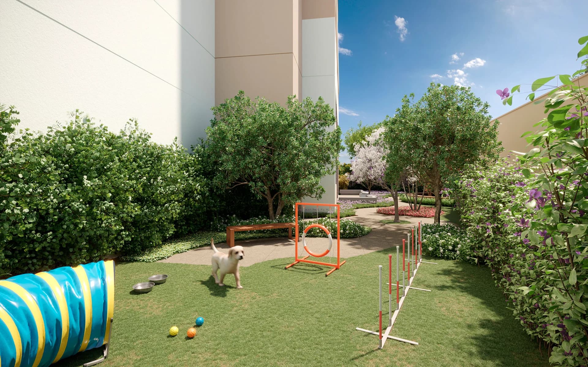 Viva Benx Star Conceição — foto 3